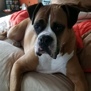 Meet your Posher, Kristin